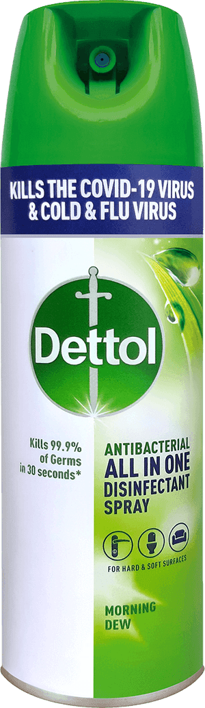 Dettol Disinfectant Spray Morning Dew