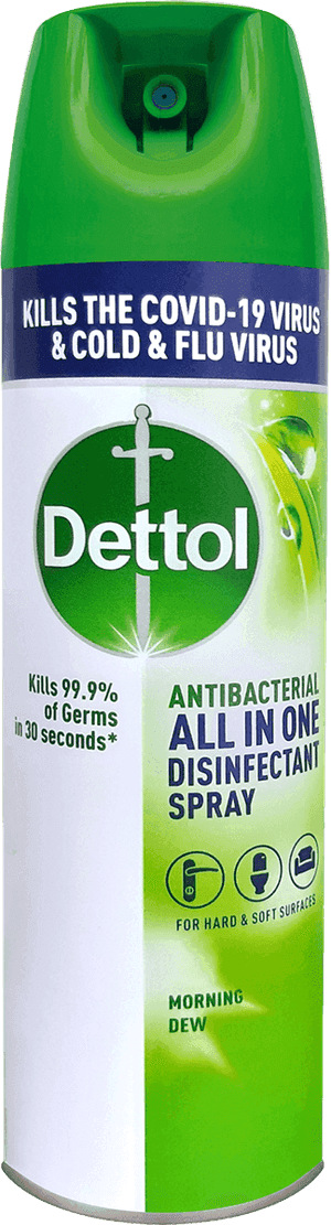 Dettol Disinfectant Spray Morning Dew 225ml